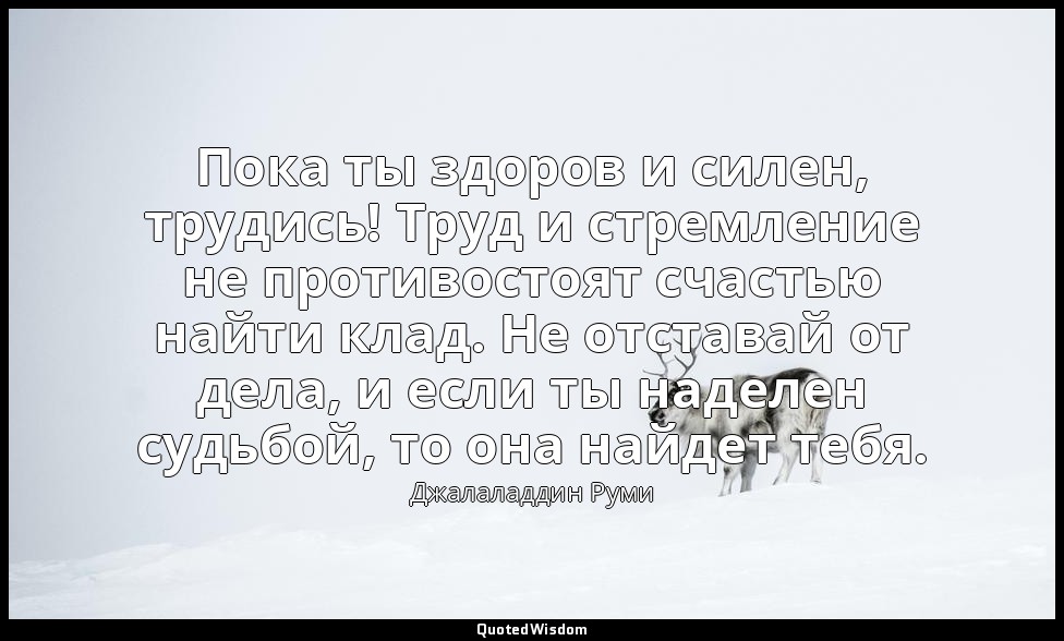 Пока ты здоров и силен, трудись! Труд и стремление не противостоят счастью найти — Джалаладдин Руми