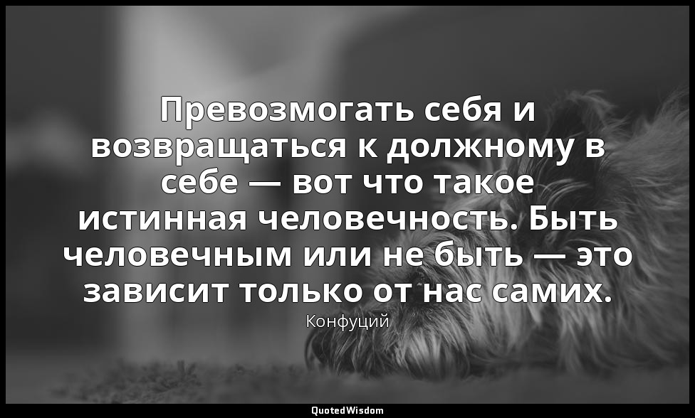 Превозмогать себя и возвращаться к должному в себе — вот что такое истинная чело — Конфуций
