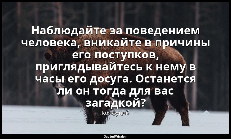 Наблюдайте за поведением человека, вникайте в причины его поступков, приглядывай — Конфуций