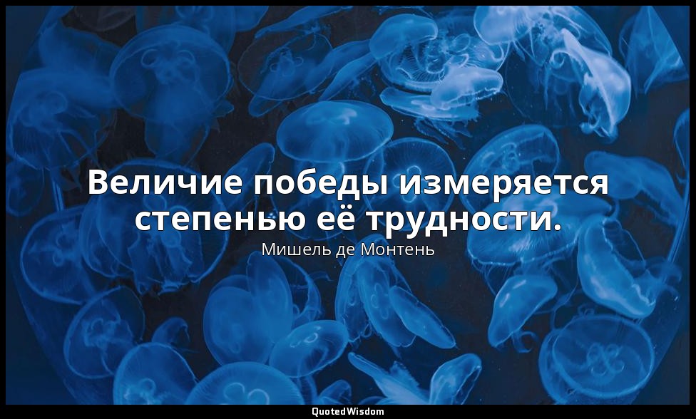 Величие победы измеряется степенью её трудности. — Мишель де Монтень