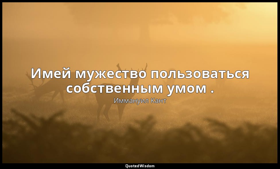 Имей мужество пользоваться собственным умом . — Иммануил Кант
