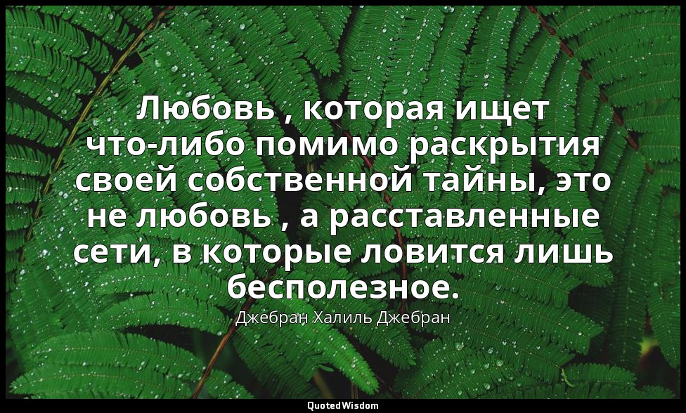 Любовь , которая ищет что-либо помимо раскрытия своей собственной тайны, это не  — Джебран Халиль Джебран