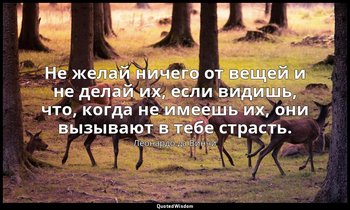 Не желай ничего от вещей и не делай их, если видишь, что, когда не имеешь их, он — Леонардо да Винчи