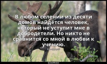 В любом селении из десяти домов найдётся человек, который не уступит мне в добро — Конфуций