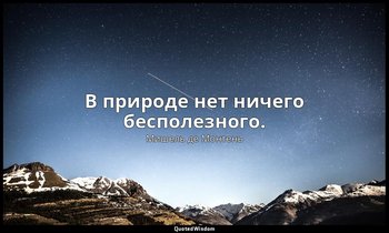 В природе нет ничего бесполезного. — Мишель де Монтень