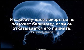 И самое лучшее лекарство не поможет больному, если он отказывается его принять. — Мигель де Сервантес