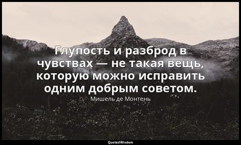 Глупость и разброд в чувствах — не такая вещь, которую можно исправить одним доб — Мишель де Монтень