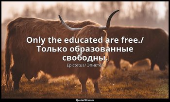 Only the educated are free./ Только образованные свободны. — Epictetus/ Эпиктет