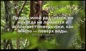 Правда иной раз гнётся, но никогда не ломается и всплывает поверх лжи, как масло — Мигель де Сервантес