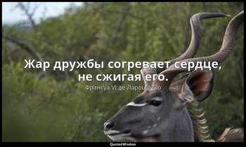 Жар дружбы согревает сердце, не сжигая его. — Франсуа VI де Ларошфуко