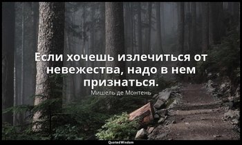 Если хочешь излечиться от невежества, надо в нем признаться. — Мишель де Монтень