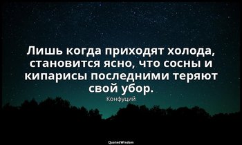 Лишь когда приходят холода, становится ясно, что сосны и кипарисы последними тер — Конфуций