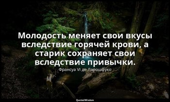 Молодость меняет свои вкусы вследствие горячей крови, а старик сохраняет свои вс — Франсуа VI де Ларошфуко