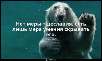 Нет меры тщеславия, есть лишь мера умения скрывать его. — Марк Твен