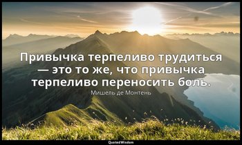 Привычка терпеливо трудиться — это то же, что привычка терпеливо переносить боль — Мишель де Монтень