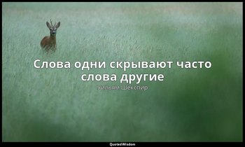 Слова одни скрывают часто слова другие — Уильям Шекспир