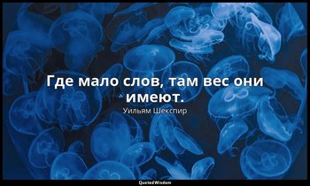 Где мало слов, там вес они имеют. — Уильям Шекспир