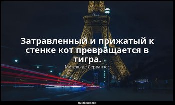 Затравленный и прижатый к стенке кот превращается в тигра. — Мигель де Сервантес