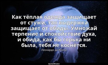 Как тёплая одежда защищает от стужи, так выдержка защищает от обиды. Умножай тер — Леонардо да Винчи