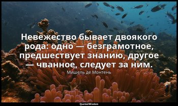 Невежество бывает двоякого рода: одно — безграмотное, предшествует знанию, друго — Мишель де Монтень