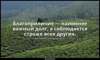 Благоприличие — наименее важный долг, а соблюдается строже всех других. — Франсуа VI де Ларошфуко