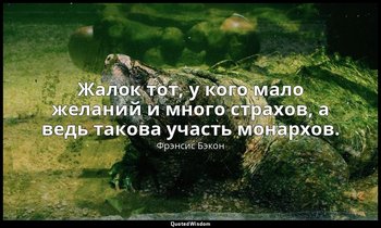 Жалок тот, у кого мало желаний и много страхов, а ведь такова участь монархов. — Фрэнсис Бэкон