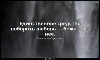 Единственное средство побороть любовь — бежать от неё. — Мигель де Сервантес