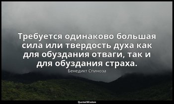 Требуется одинаково большая сила или твердость духа как для обуздания отваги, та — Бенедикт Спиноза