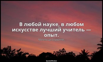 В любой науке, в любом искусстве лучший учитель — опыт. — Мигель де Сервантес