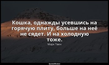 Кошка, однажды усевшись на горячую плиту, больше на неё не сядет. И на холодную  — Марк Твен