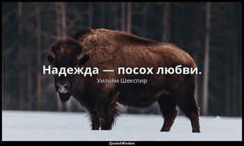 Надежда — посох любви. — Уильям Шекспир