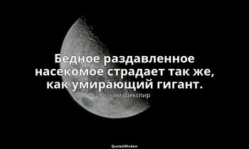 Бедное раздавленное насекомое страдает так же, как умирающий гигант. — Уильям Шекспир