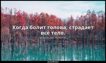 Когда болит голова, страдает всё тело. — Мигель де Сервантес