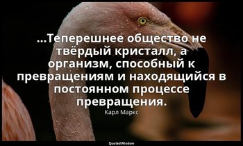 …Теперешнее общество не твёрдый кристалл, а организм, способный к превращениям и — Карл Маркс