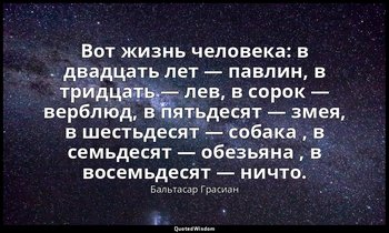 Вот жизнь человека: в двадцать лет — павлин, в тридцать — лев, в сорок — верблюд — Бальтасар Грасиан