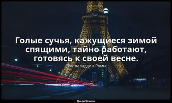 Голые сучья, кажущиеся зимой спящими, тайно работают, готовясь к своей весне. — Джалаладдин Руми