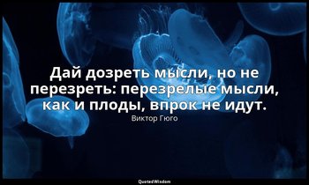 Дай дозреть мысли, но не перезреть: перезрелые мысли, как и плоды, впрок не идут — Виктор Гюго