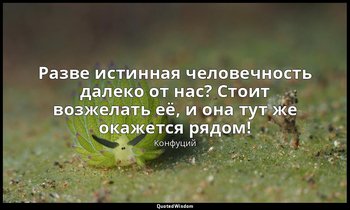 Разве истинная человечность далеко от нас? Стоит возжелать её, и она тут же окаж — Конфуций