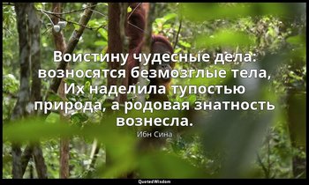 Воистину чудесные дела: возносятся безмозглые тела, Их наделила тупостью природа — Ибн Сина