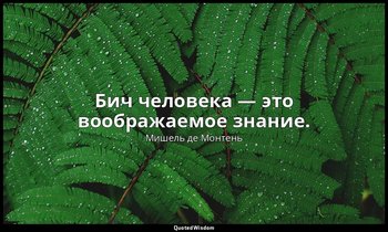 Бич человека — это воображаемое знание. — Мишель де Монтень