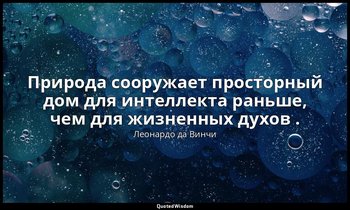 Природа сооружает просторный дом для интеллекта раньше, чем для жизненных духов  — Леонардо да Винчи