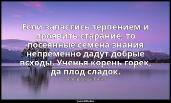Если запастись терпением и проявить старание, то посеянные семена знания непреме — Леонардо да Винчи
