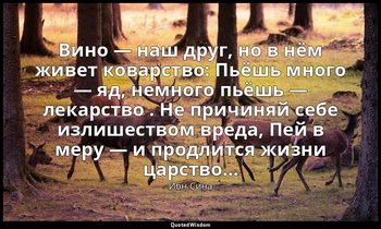 Вино — наш друг, но в нём живет коварство: Пьёшь много — яд, немного пьёшь — лек — Ибн Сина