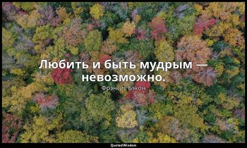 Любить и быть мудрым — невозможно. — Фрэнсис Бэкон