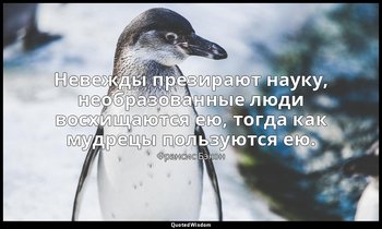 Невежды презирают науку, необразованные люди восхищаются ею, тогда как мудрецы п — Фрэнсис Бэкон
