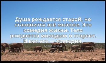Душа рождается старой, но становится всё моложе. Это комедия жизни. Тело рождает — Оскар Уайльд