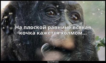 На плоской равнине всякая кочка кажется холмом… — Карл Маркс