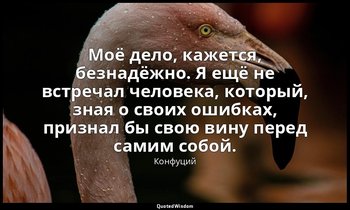 Моё дело, кажется, безнадёжно. Я ещё не встречал человека, который, зная о своих — Конфуций