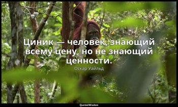 Циник — человек, знающий всему цену, но не знающий ценности. — Оскар Уайльд