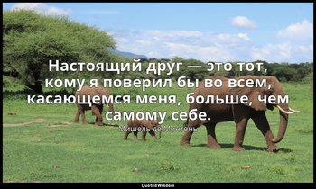 Настоящий друг — это тот, кому я поверил бы во всем, касающемся меня, больше, че — Мишель де Монтень